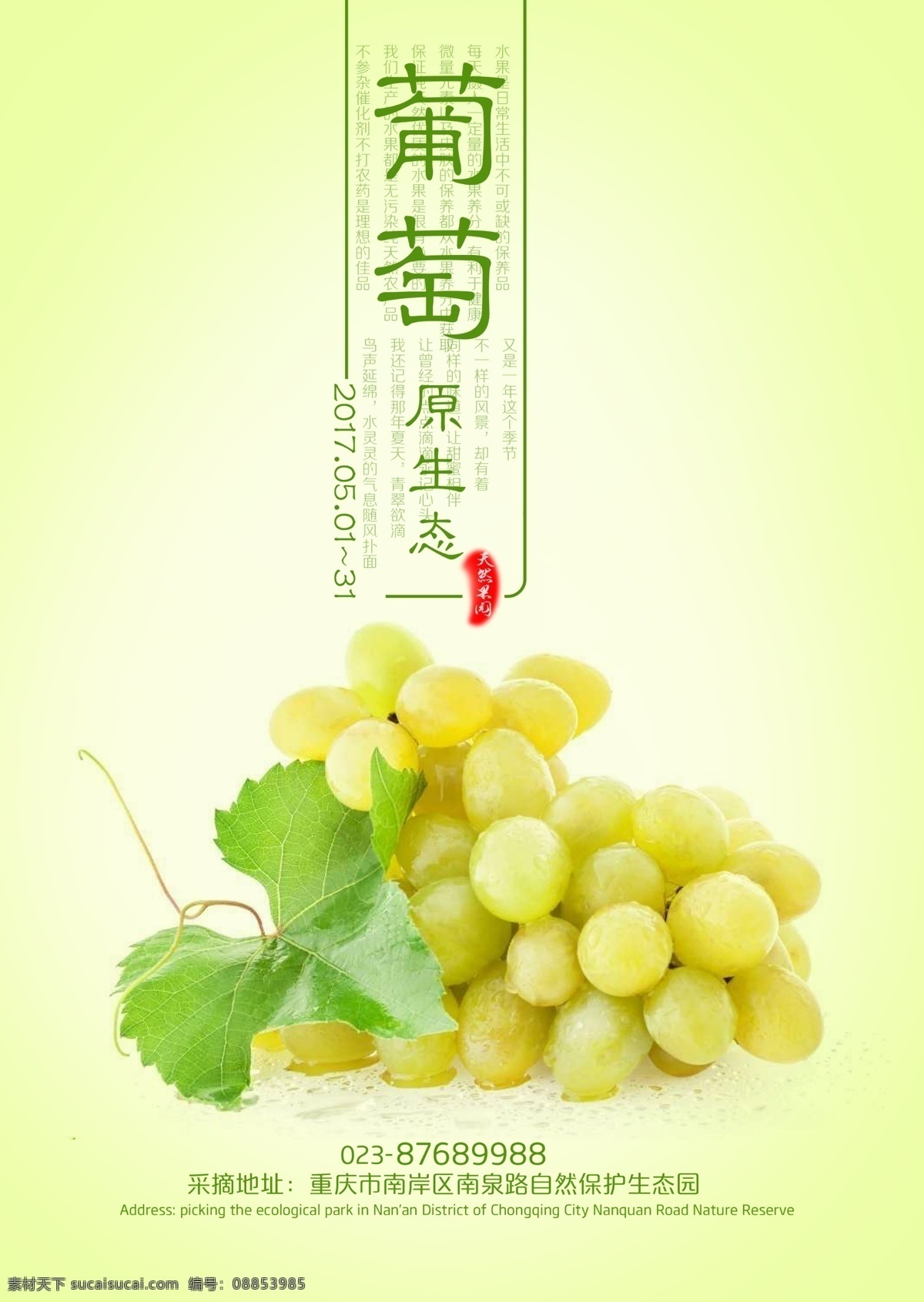 水晶葡萄 葡萄 水果 农产品 水果广告 葡萄素材 绿色底图 绿葡萄 门店广告