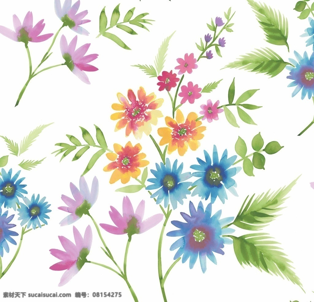 水彩花 花的世界 水彩 小花 彩色 花边花纹 底纹边框