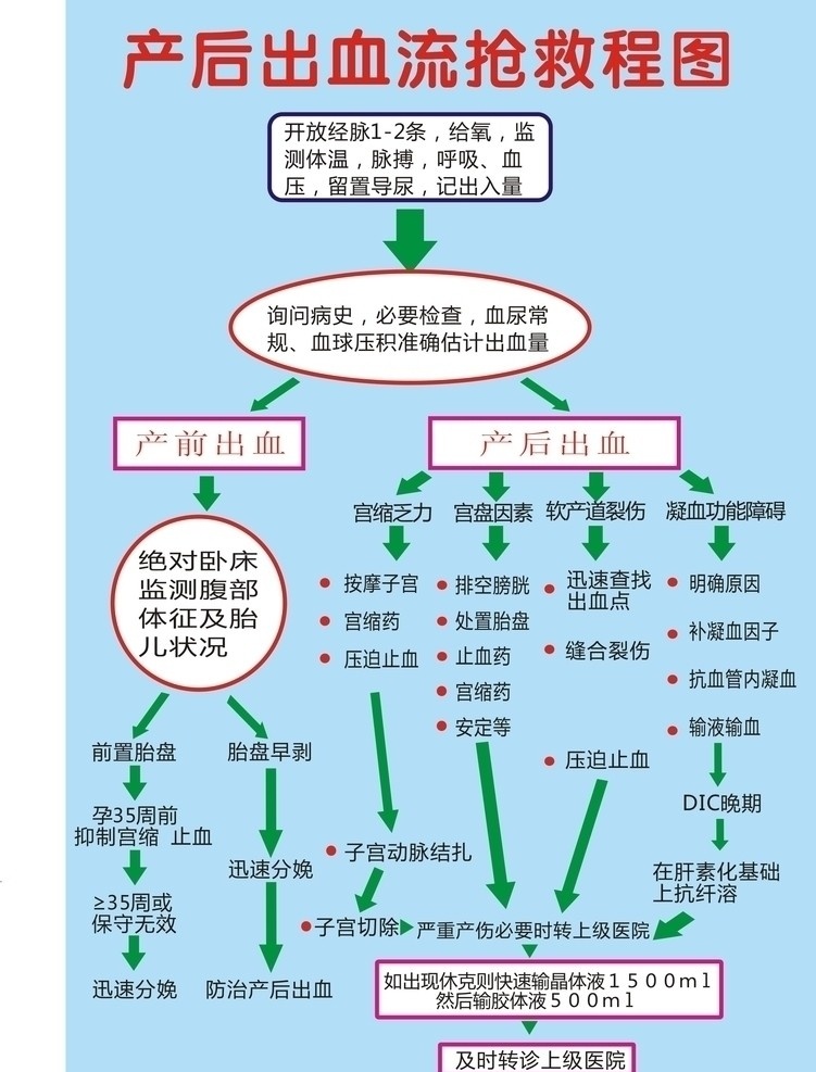 医院 产科 产后出血 流程图 医院广告 矢量