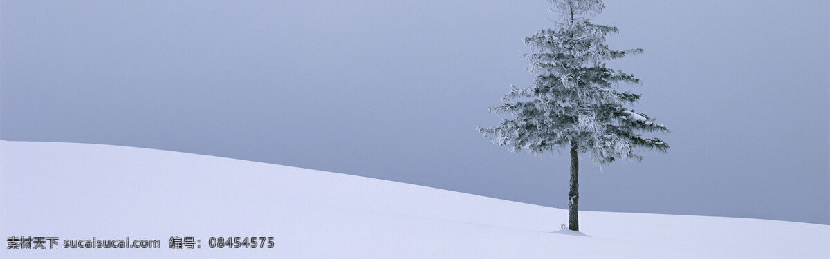 雪 中 树 背景 58 白雪 白色 背景素材 淘宝 天猫 1920 全 屏 全屏背景 淘宝背景 天猫背景 psd格式 蓝色