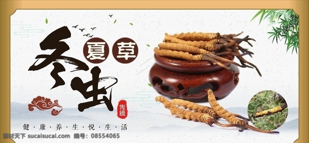 虫草 冬虫夏草 中医 养生 保健 中药材 中草药 中国风 海报 展架