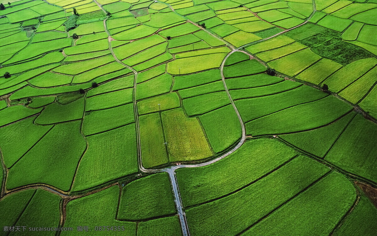 春 春季 故乡 绿色 麦田 梯田 田园 风景图片 田园风景 乡间 田园风光 自然景观 psd源文件