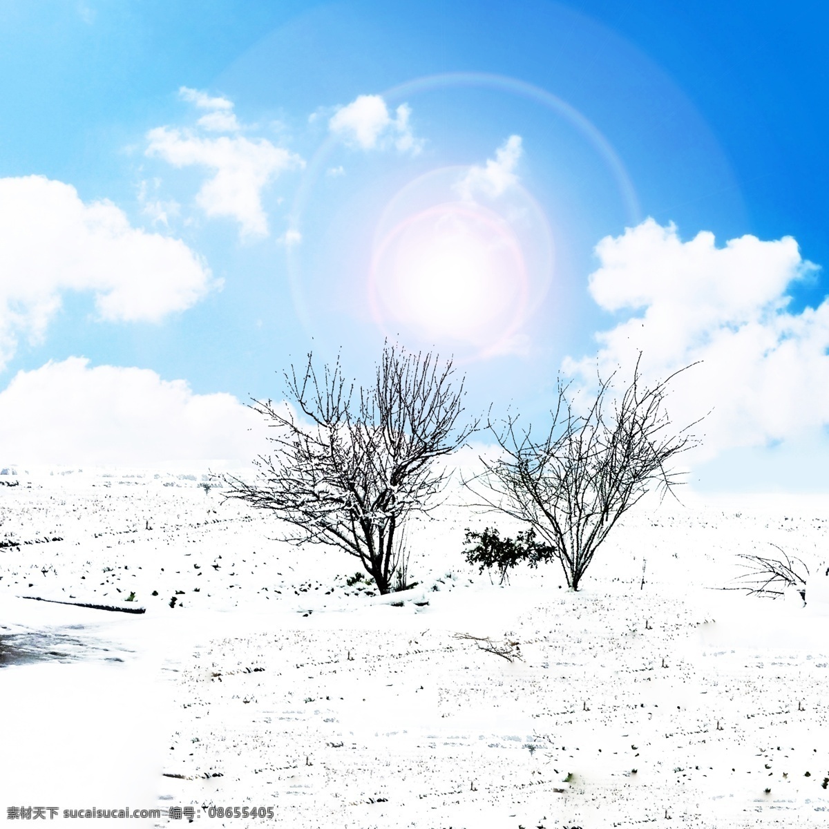 雪景海报背景 雪 雪背景 白色背景 冬天 白色