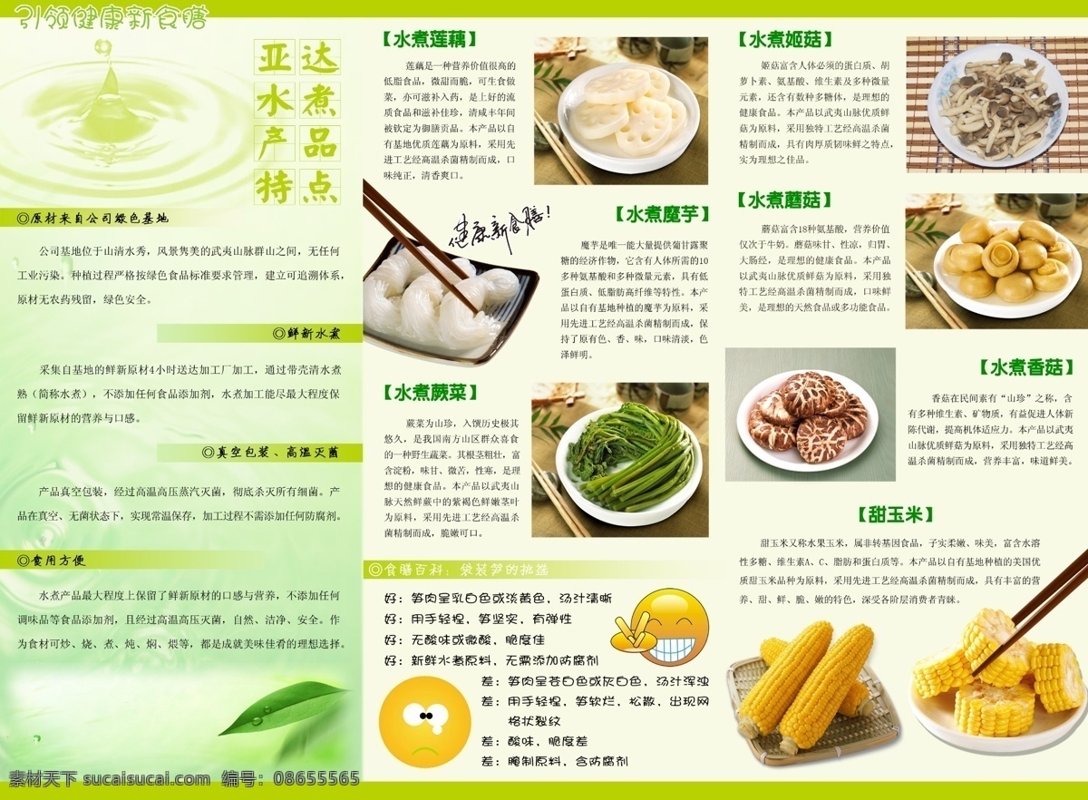 食品三折页 食品 三折页 白色