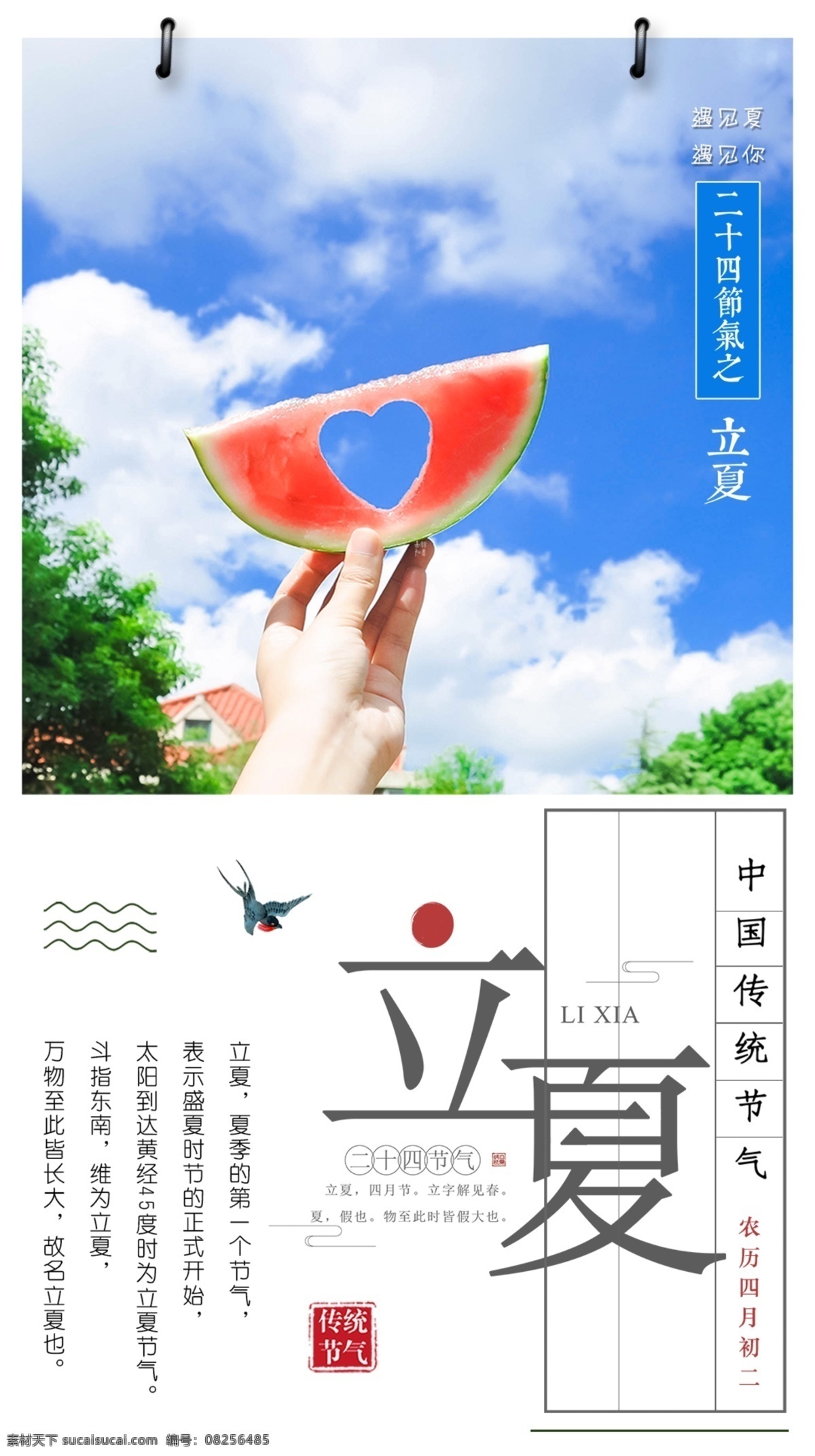 立夏节气 立夏 24节气 传统 清新 西瓜 蓝天 文化艺术 传统文化