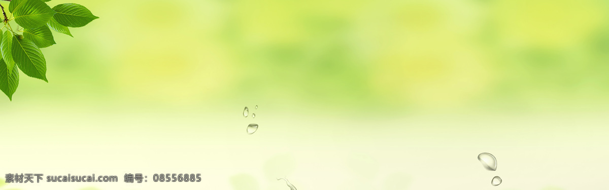 花纹 边框 花簇 绿色 花框 装饰 元素 底纹 壁纸 大气 小清新 植物 春天 夏天 展板 背景底纹 底纹边款 宣传单 绿色元素 高清 唯美 绿色背景底纹 装饰素材大全 小元素 新鲜 海报背景 背景 图案 淘宝背景 免扣