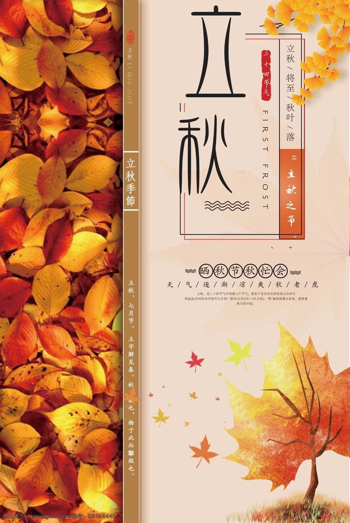 二十四节气 立秋 精美 大气 简约 立秋海报模板 节气 中国传统节气 模板 大气模板 简约模板 精美大气 简约大气 大气简约 大气精美 节日海报