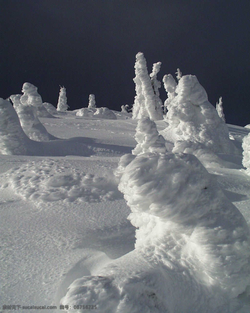 冰雪世界 自然风景 贴图素材 jpg0306 设计素材 自然风光 建筑装饰 灰色