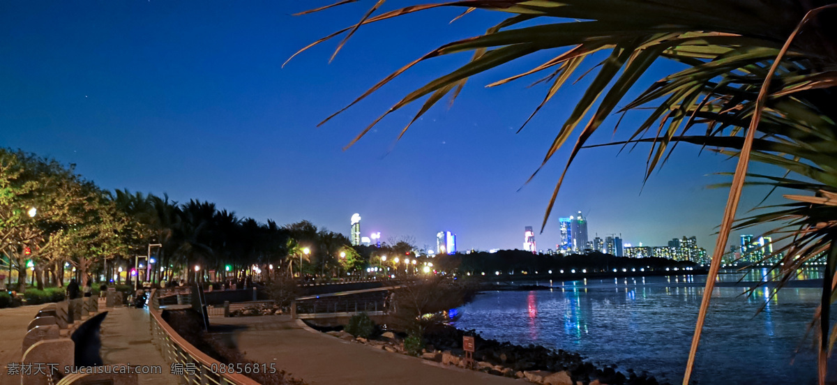 深圳湾 公园 夜景 城市夜景 海边 网红打卡 一线城市夜景 大湾区 旅游 风景休闲 自然景观 建筑景观