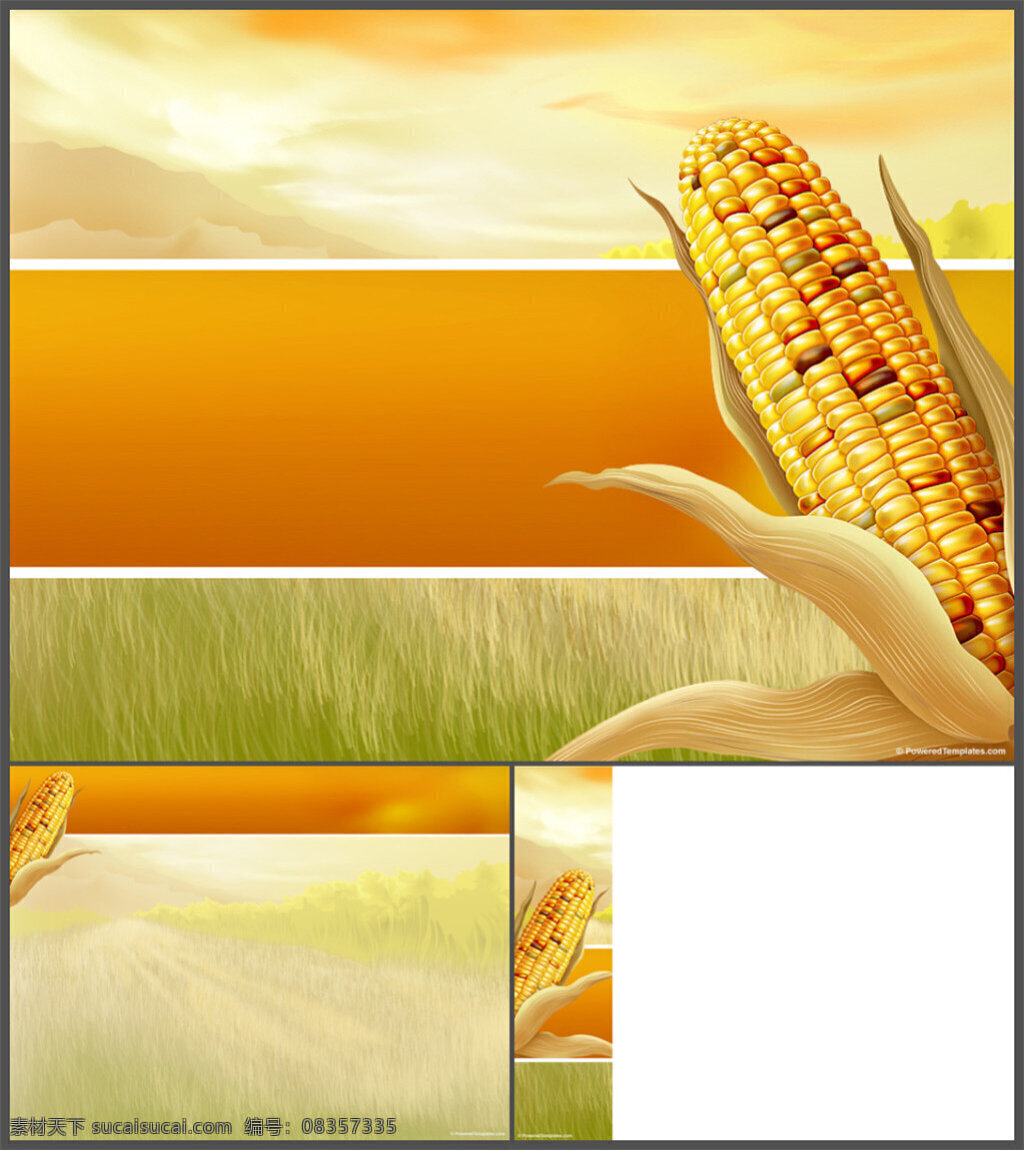 玉米 模板 商务模板 多媒体设计 ppt课件 ppt源文件 制作 优质 pptx 黄色