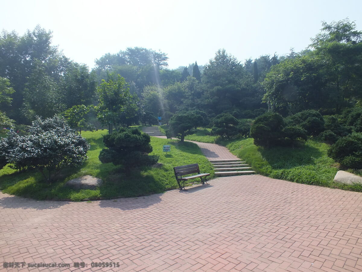 园林景观 公园 建筑园林 植物园 绿树 活动场所 园林建筑