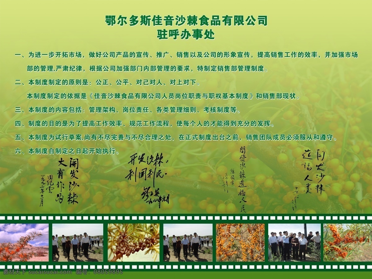 沙棘 公司 展板 广告设计模板 胶片 绿色底图 题词 源文件 展板模板 沙棘公司展板 规章制度 沙棘图片 其他展板设计