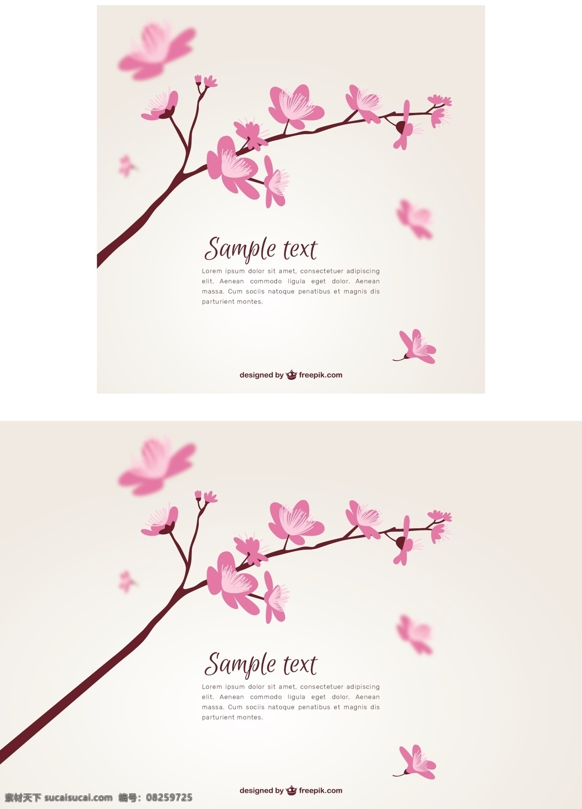 可爱 樱桃 树 背景 模糊 花卉 树木 手 自然 花卉背景 手绘 日本 春天 植物 自然背景 树枝
