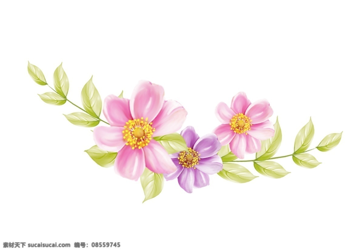 手绘花 粉色小花 绘画花 绘画 花朵 花草 手绘花朵 文化艺术 绘画书法