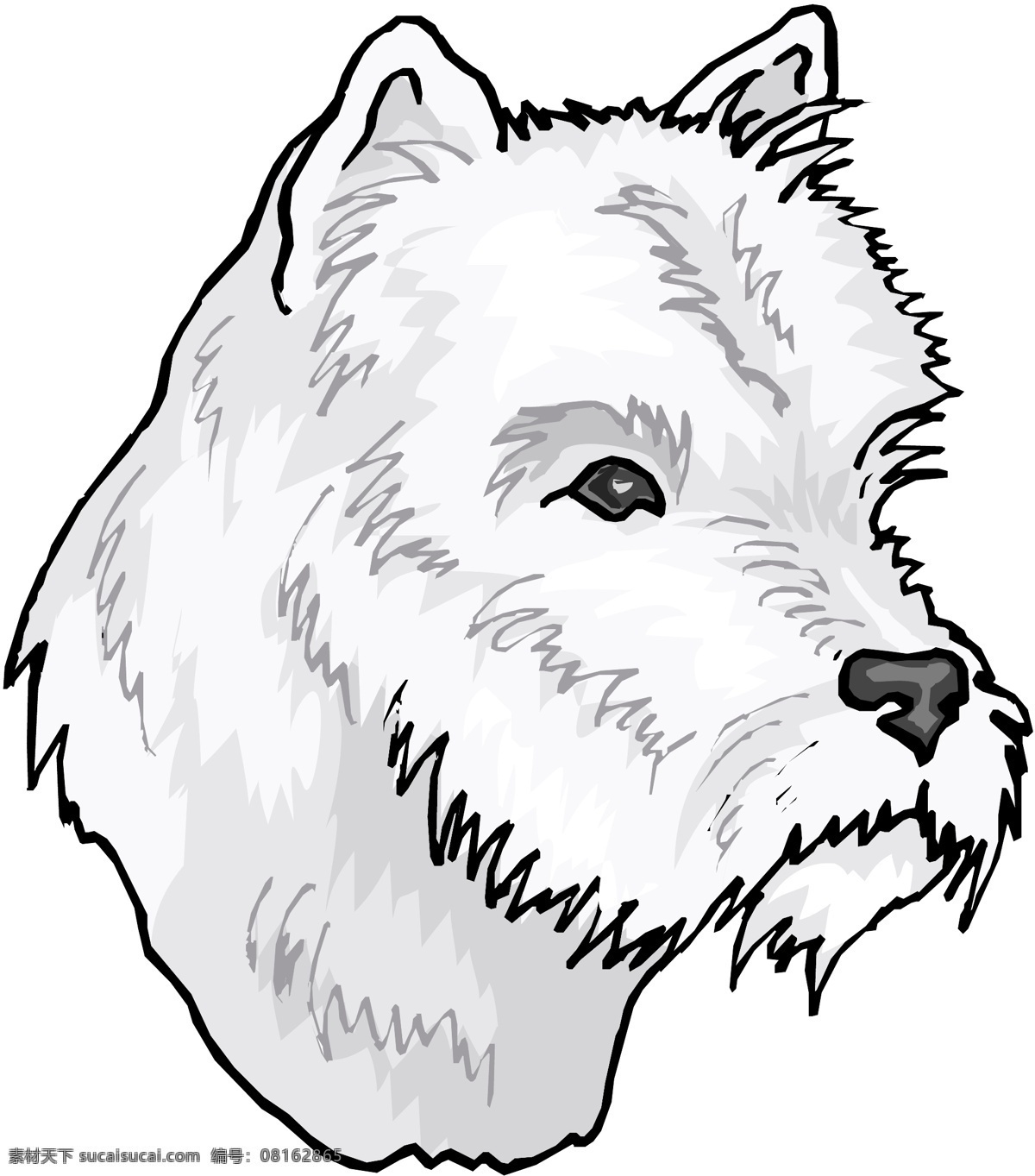 宠物狗 矢量素材 格式 eps格式 设计素材 宠物世界 矢量动物 矢量图库 白色