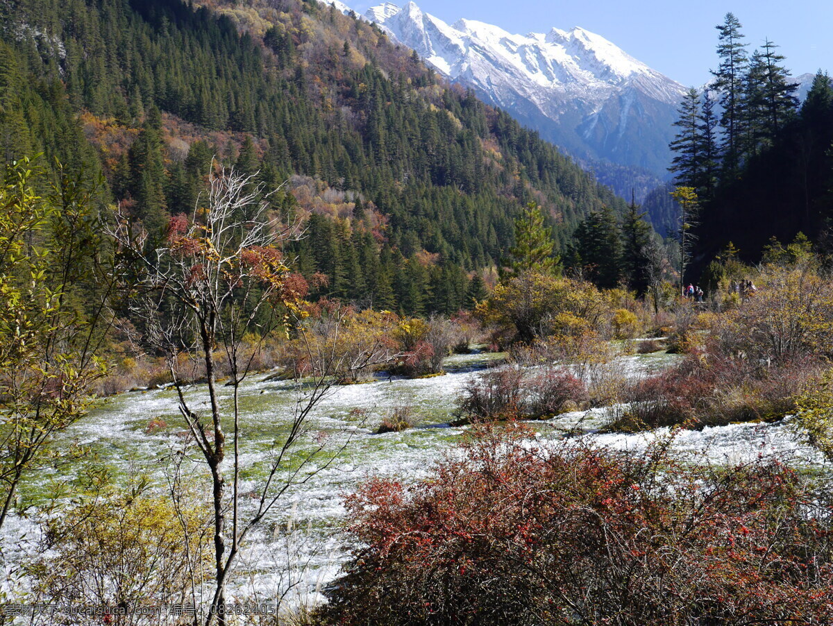 九寨沟山水 九寨沟 九寨沟风景 九寨沟景观 风景 高清 自然风景 高清风景 风光 自然风光 景观 自然景观 高清山水 山水风景 树木 四川 旅游摄影 国内旅游