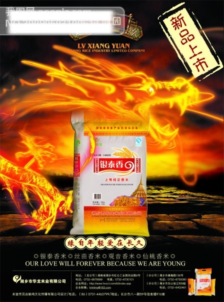 大米 广告 绿 湘 园 标志 　 龙 食物 古典 边框 矢量图
