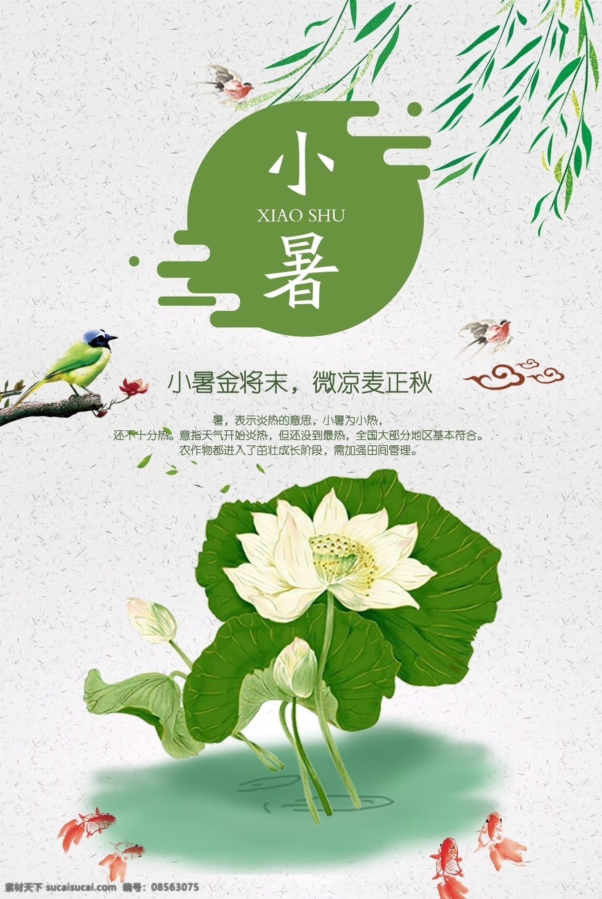 小暑 24节气 荷叶 荷花 喜鹊 金鱼 柳树 宣传 名片卡片