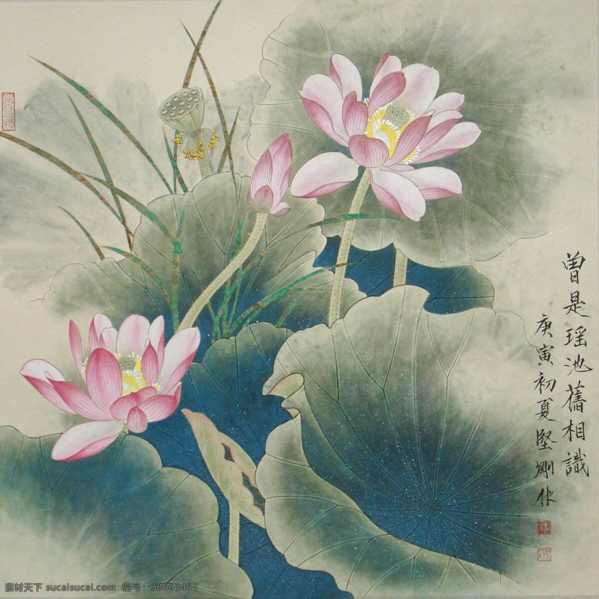 工笔画荷花 工笔画 国画 中国画 工笔彩墨画 彩墨工笔画 书法 大师作品 风景画 荷花 植物 荷叶 绘画书法 文化艺术