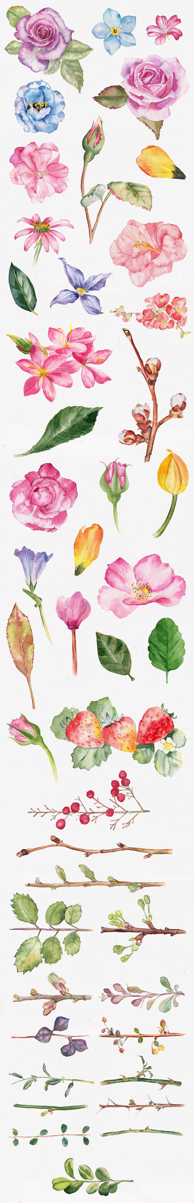 花朵树叶素材 花朵 树叶 插画 手绘 树枝 叶子 白色