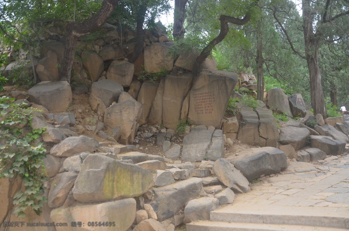 泰山 风景 封禅 大典 奇石 风景石 山水 树木 山川 古迹 名胜 万山之祖 石敢当 美景 景色 风景图片 旅游摄影 国内旅游
