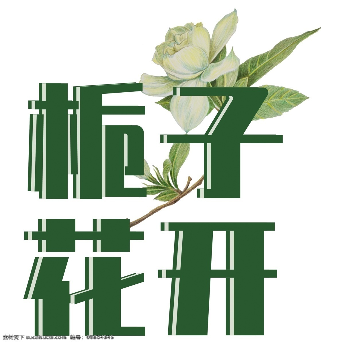 栀子 花开 绿色 艺术 字体 元素 板子花开 绿色字体 白色花朵 字体设计 创意字体 可爱字体 个性字体 艺术字 字体元素 元素设计