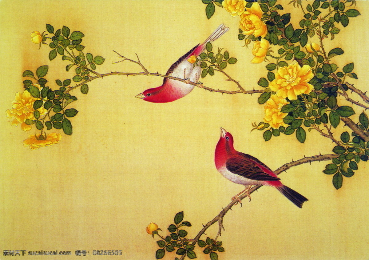 花鸟画 中国古画 传统国画07 设计素材 花鸟名画 古典藏画 书画美术 黄色