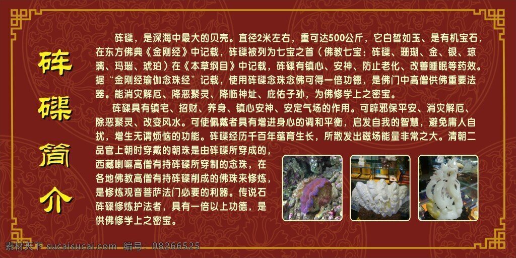 砗磲简介 供佛修学密保 深海 中 最大 贝壳 红色