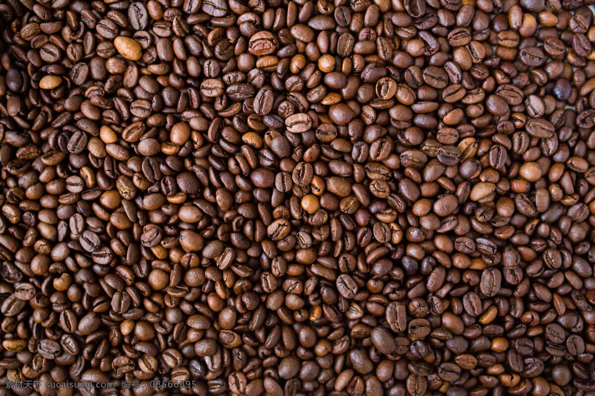 咖啡豆 咖啡 速溶咖啡 黑咖啡 浓缩咖啡 拿铁咖啡 美式咖啡 马琪雅朵 卡布奇诺 白咖啡 摩卡咖啡 饮品 咖啡因 午后咖啡 咖啡杯 饮料 牛奶咖啡 咖啡店 苦咖啡 咖啡背景 背景 唯美背景 唯美 午后背景 时尚背景