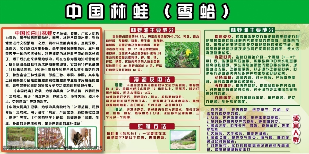 活林蛙展板 活林蛙 功效 展板 林蛙油 养生 展板模板 绿色