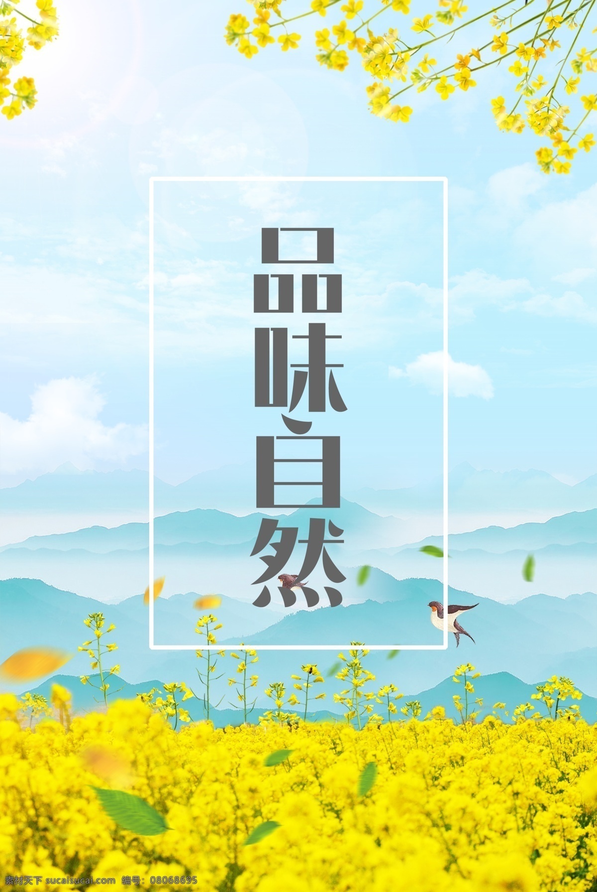 唯美 自然 海报 展板 背景 田野 油菜花 青山 初夏