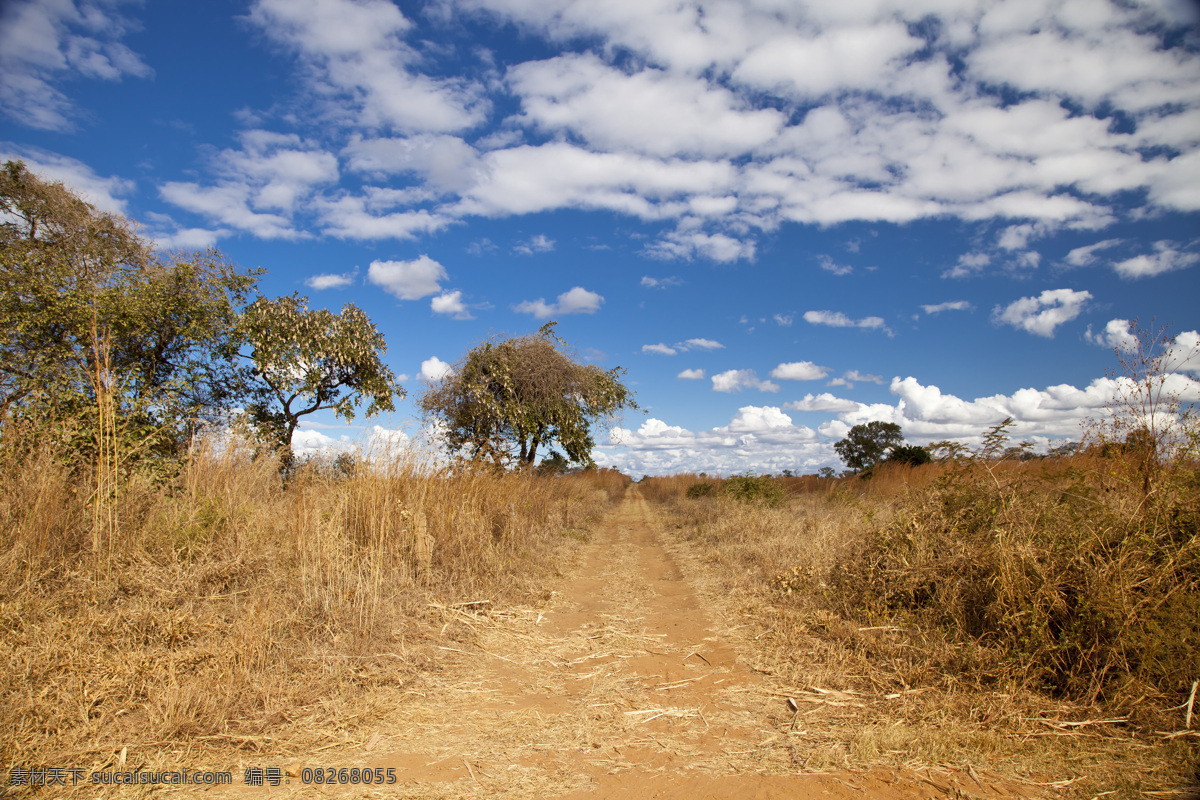 非洲 草原 马路 景色 道路 马路风景 蓝天白云 非洲草原风景 平原风景 美丽非洲风景 风景摄影 美景 自然风景 自然景观 蓝色