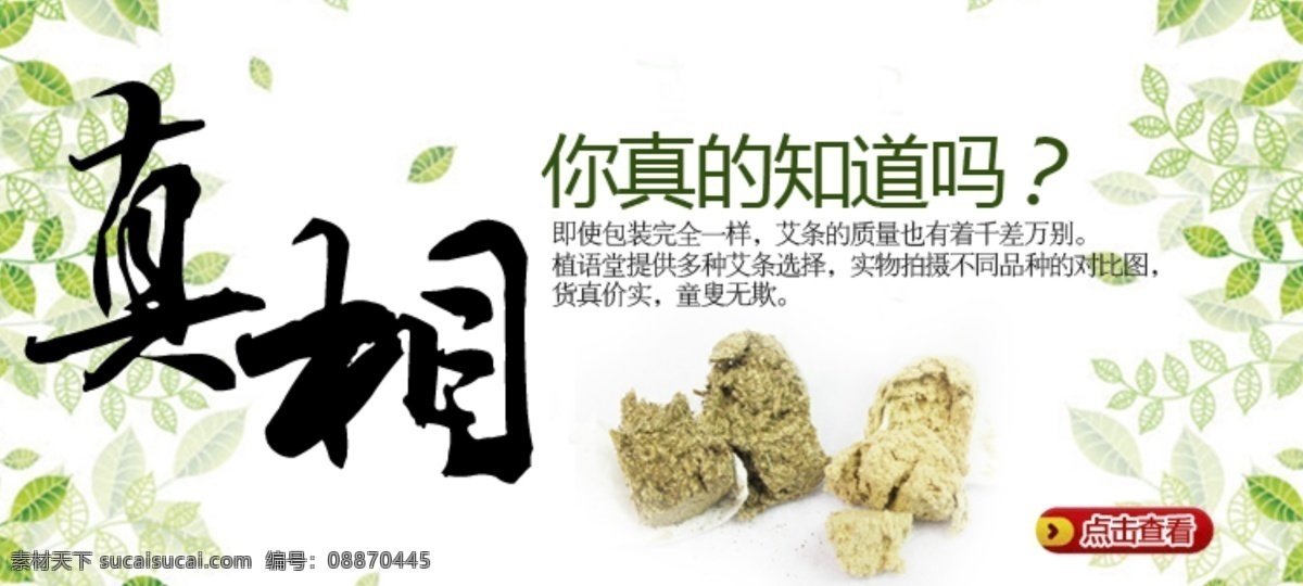 淘宝艾条海报 艾条 真相 绿叶 淘宝海报 淘宝 中文模版 网页模板 源文件 白色