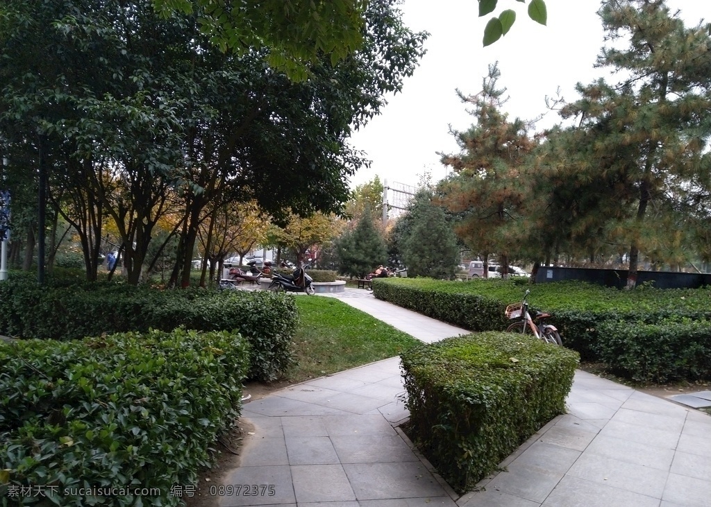 城市公园风景 公园 树木 广场 天空 草地 美景 建筑景观 自然景观 自然风景