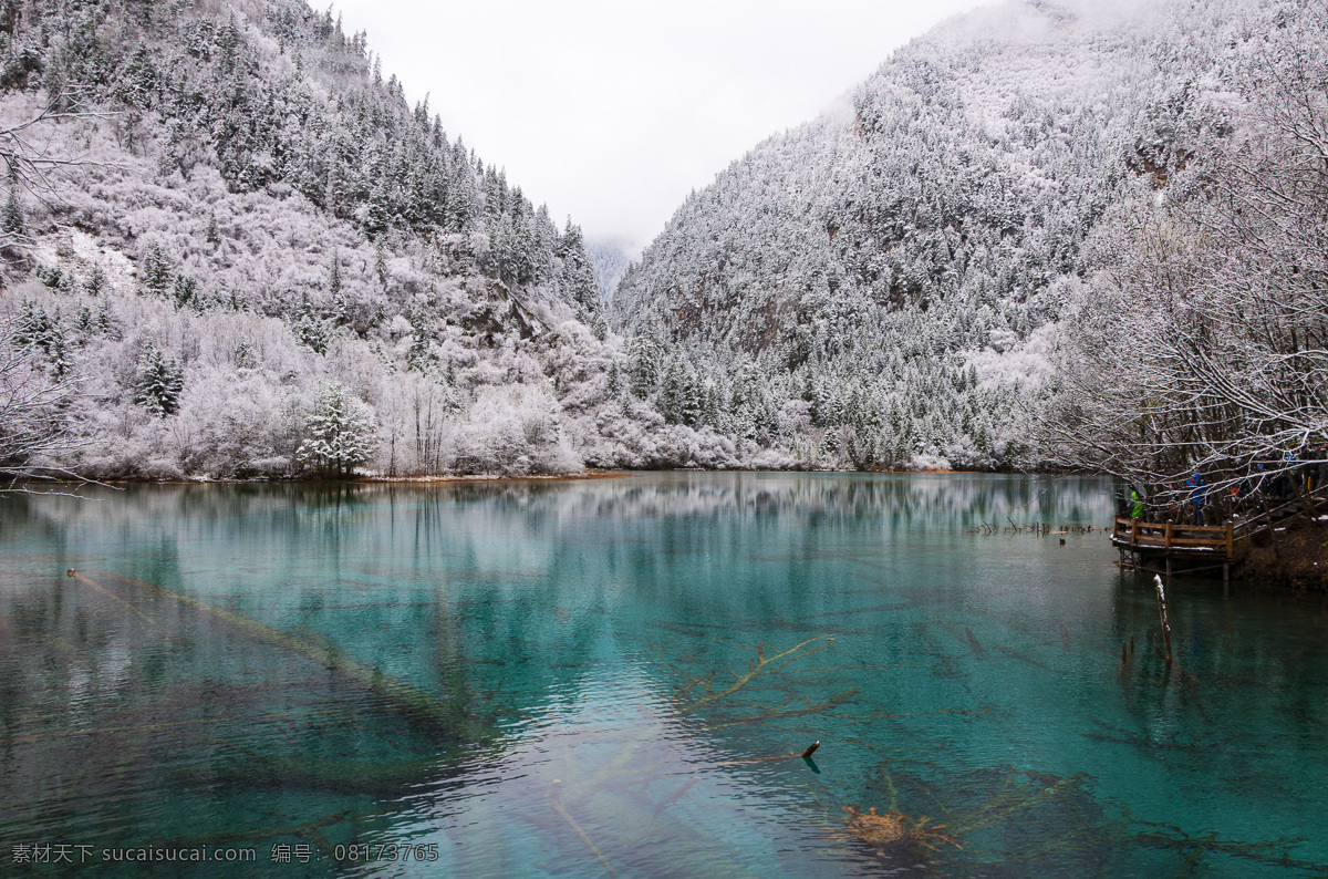 九寨沟 五 花海 雪景 中国 四川 五花海 瀑布 雾凇 冬雪 海子 湖泊 高原 神奇的九寨 自驾游 旅游 旅行 徒步 蓝色 树 彩色 红叶 绿叶 山清水秀 诺日朗群海 仙境 梦幻 童话世界 旅游摄影 国内旅游