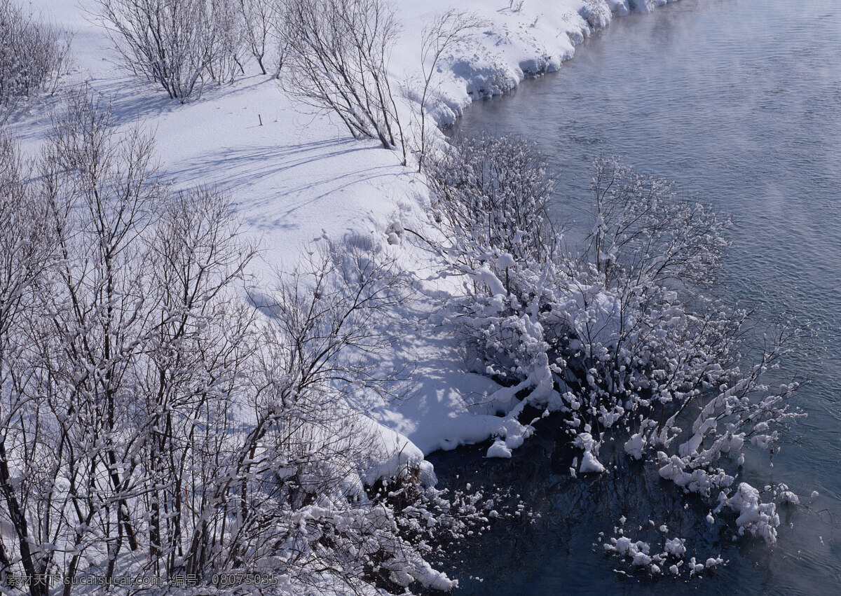 冰天雪地 冰雪 高清风景图片 林荫 森林 山水图 树干 树枝 四季风光素材 湖水树林 晴空万里 冰 风景 生活 旅游餐饮