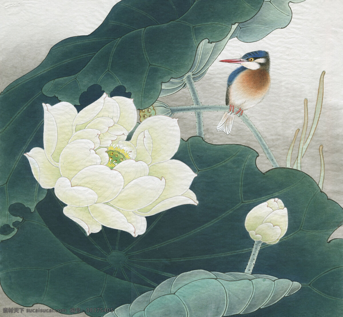 周 彦 生 白 荷 栖 翠 图 花鸟画 设计素材 花鸟画篇 中国画篇 书画美术 灰色