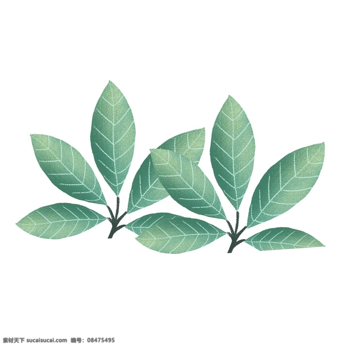 手绘 插画 绿色 树叶 植物 清雅 装饰图案 免扣素材 透明素材 小草