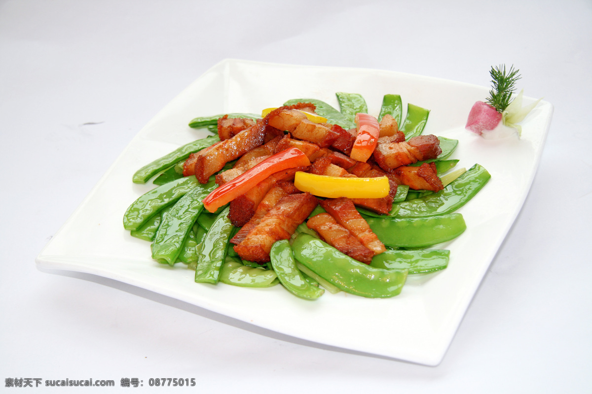 兰 豆 香芹 炒 烧肉 兰豆 炒烧肉 兰豆香芹炒肉 兰豆香芹烧肉 招牌菜 特色菜 名菜 传统名菜 川菜 粤菜 北方菜 南方菜 农家菜 料理 炒菜 酒家菜图 饭店 酒楼 中国美食 传统美食 中国菜 餐饮美食 美食摄影