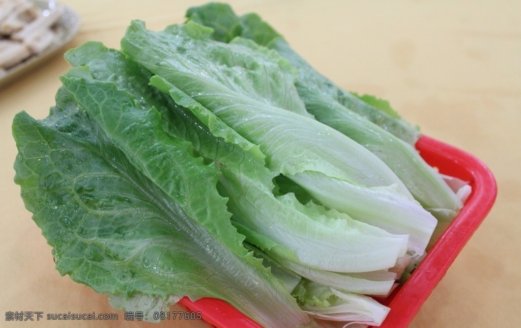生菜 蔬菜 青菜 食物原料 餐饮美食