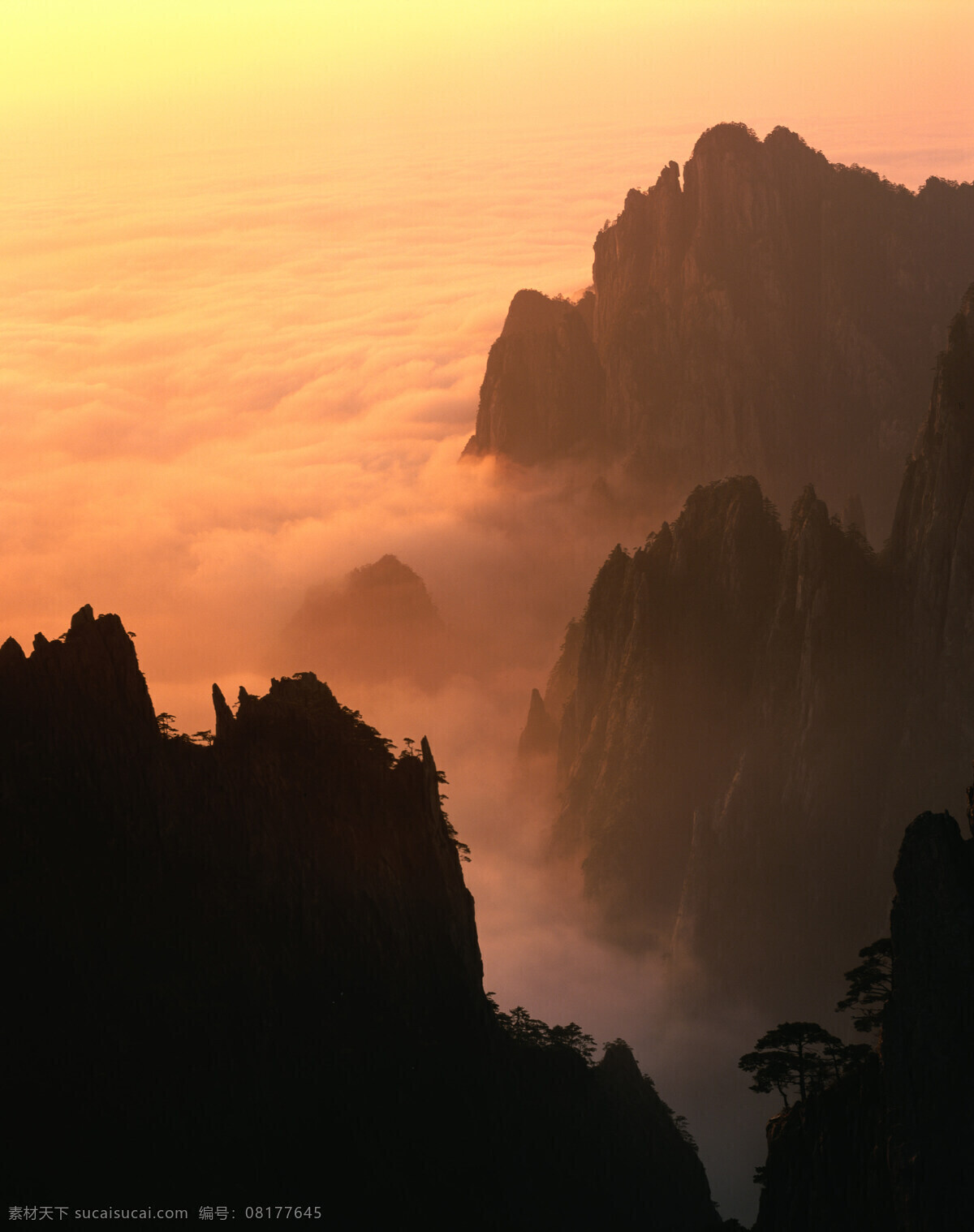 黄山云海 黄山 云海 美图 自然景观 山水风景 摄影图库