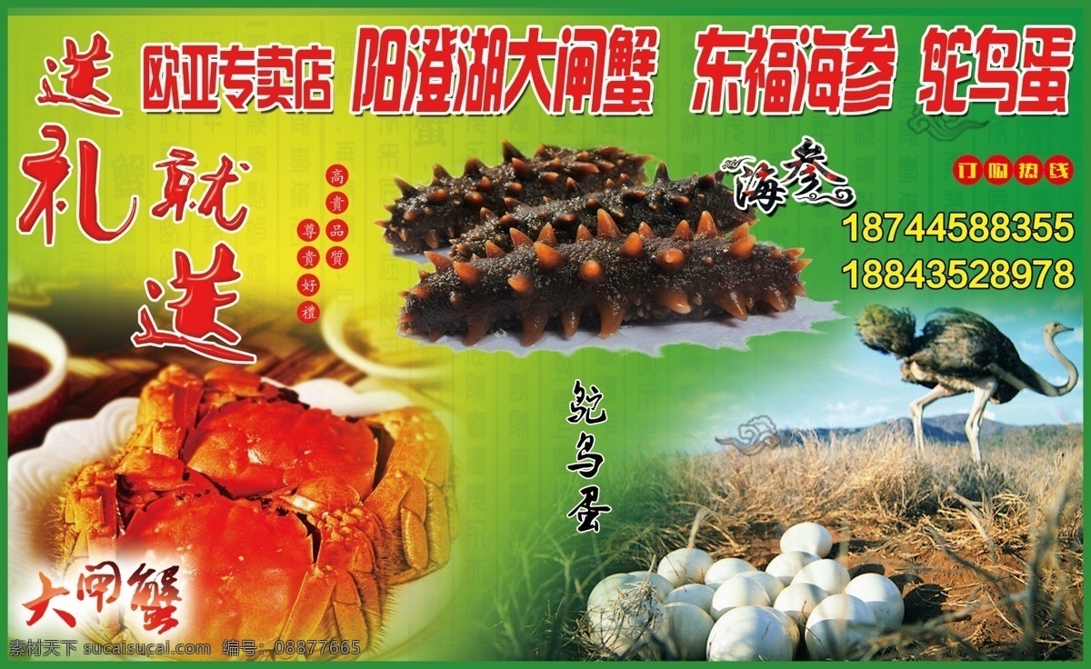 阳澄湖 大闸蟹 宣传 阳澄湖大闸蟹 宣传彩页 dm单 海报 海参 驼鸟蛋 绿色