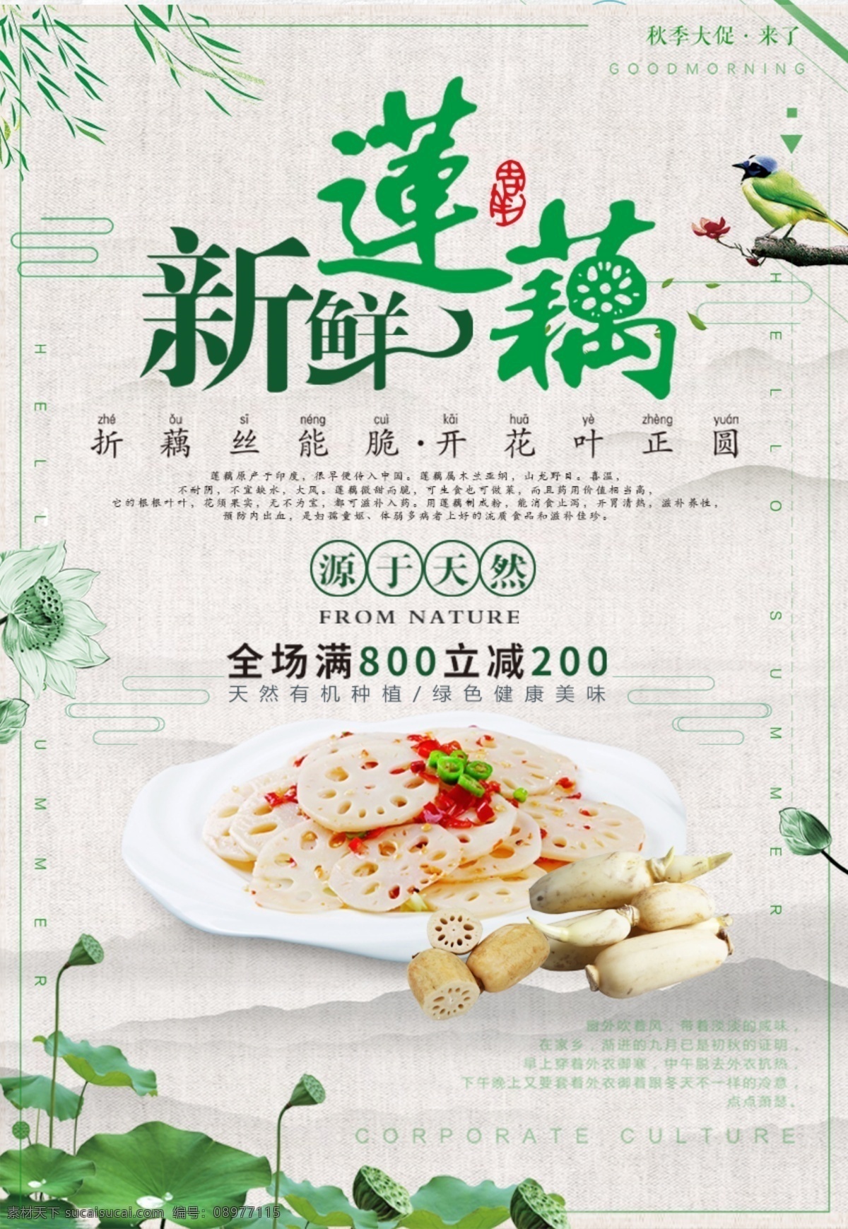 清新 中国 风 莲藕 食品 促销 健康 绿色 唯美 餐饮 绿色有机 素食 莲藕创意海报 菜品 素食主义 简约 健康早餐 有机食品 鸡蛋 面包 瘦身 减肥 年轻 蔬菜 中 国风 海报 新鲜莲藕 清新中国风