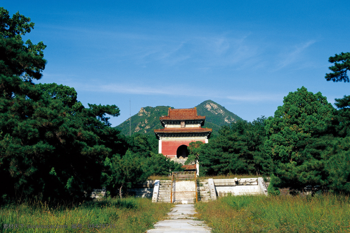 风景 图 风景图 旅游 树 塔 生活 旅游餐饮