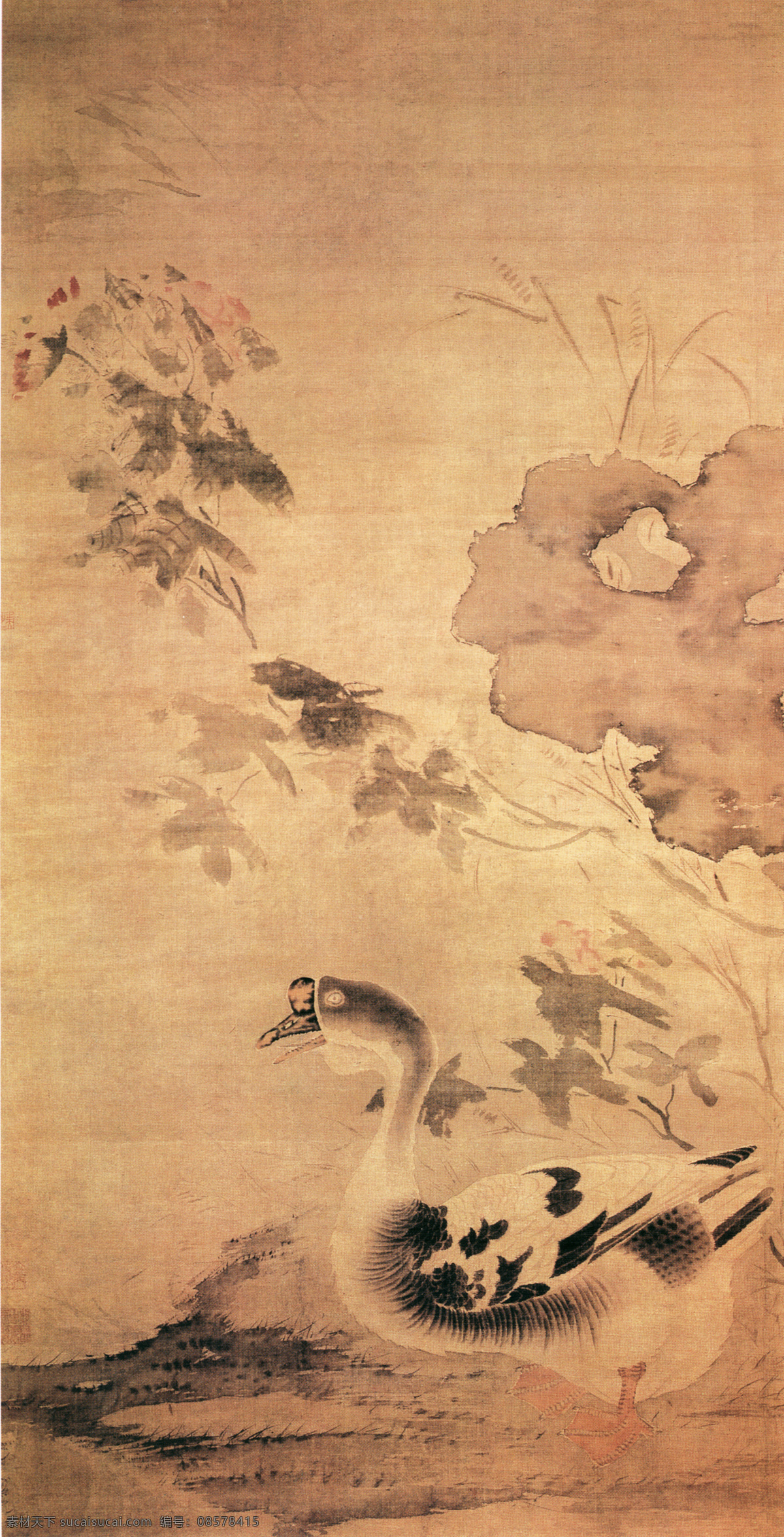 中国 花鸟 画名 家孙 龙 书画 真迹 芙蓉 游 鹅 图 古画 书画真迹 晕染 芙蓉游鹅图 中国花鸟画 名家孙龙 立轴 绢本 设色 狮头鹅 芙蓉花石 勾染法 没骨法 点染写意法 文化艺术