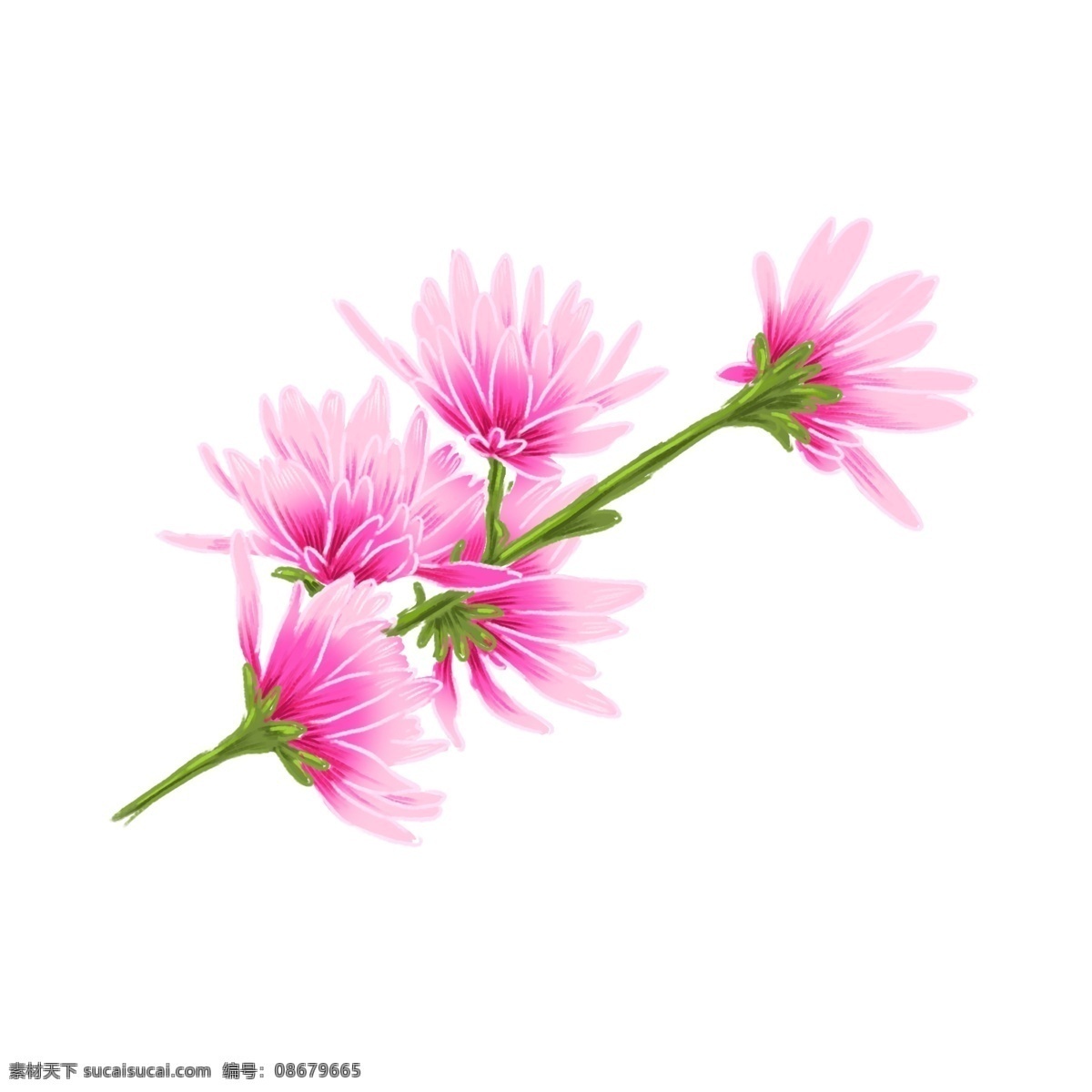 原创 手绘 春天 盛放 桃花 商用 元素 春季 花朵 鲜花 花瓣 绿色 春日 初春 立春 春分 春色 花 春暖花开 绿意 粉色