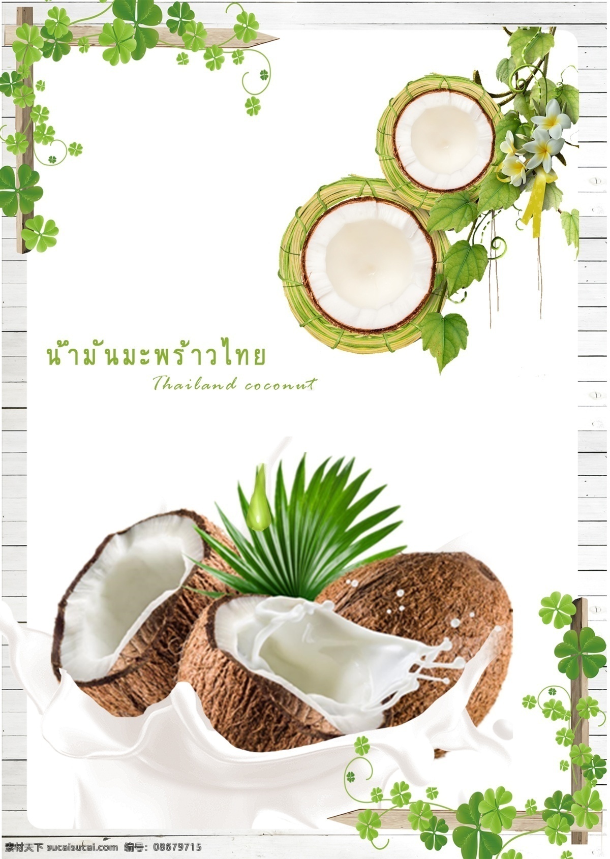 泰国 样式 动画片 椰子 泰国风格 椰子汁 厂 边框 海报