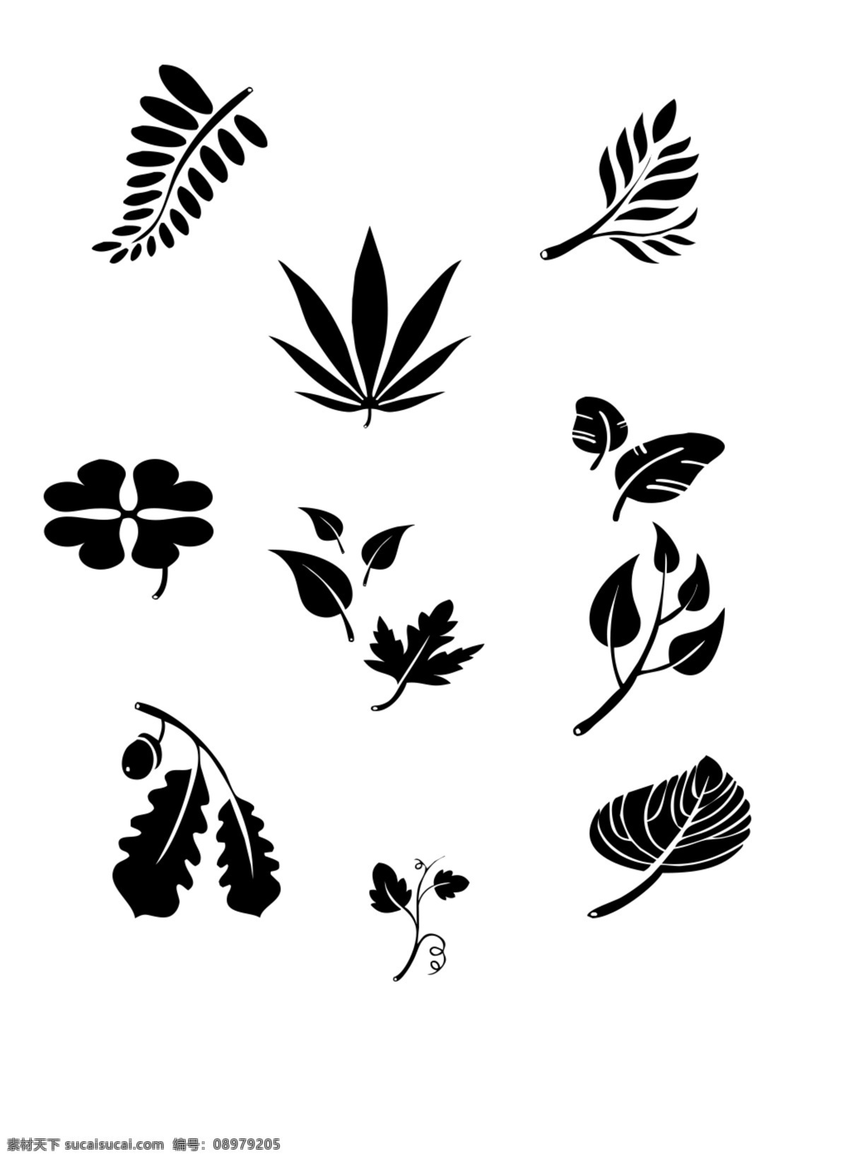 ps 各类 树叶 植物 免 扣 元素 合集 商用 可商用