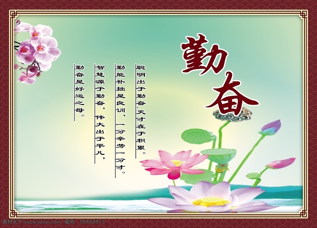 勤奋 莲花 花 背景 展板 分层