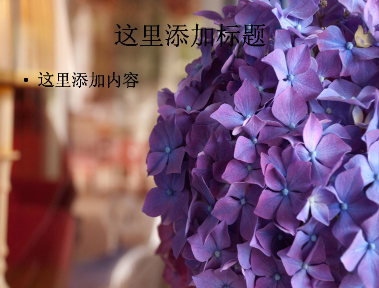 清新 淡雅 绣 球花 高清 ppt8